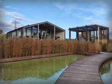 Прилесный #6